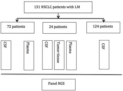 Unique Genomic Alterations of Cerebrospinal Fluid Cell-Free DNA Are Critical for Targeted Therapy of Non-Small Cell Lung Cancer With Leptomeningeal Metastasis